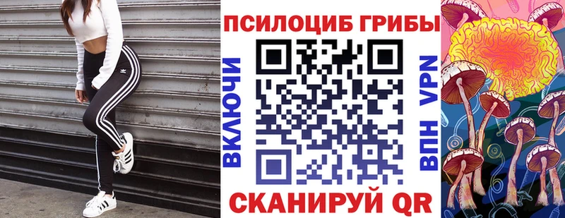 mega маркетплейс  Магнитогорск  Псилоцибиновые грибы мухоморы 