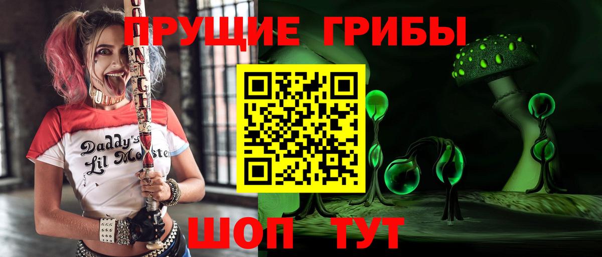Магнитогорск  цена   Вход с VPN  Галлюциногенные грибы Psilocybe  Псилоцибиновые грибы MAGIC MUSHROOMS 